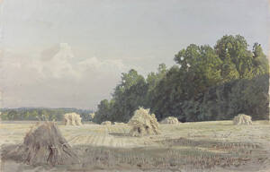 The Harvest Field