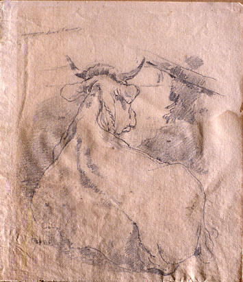 Study of a cow lying down, rear view