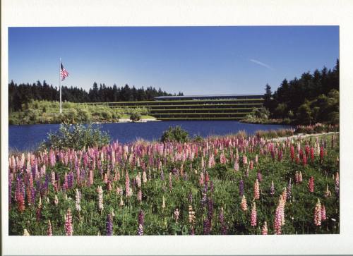 Weyerhauser Company Headquarters- Tacoma, Washington