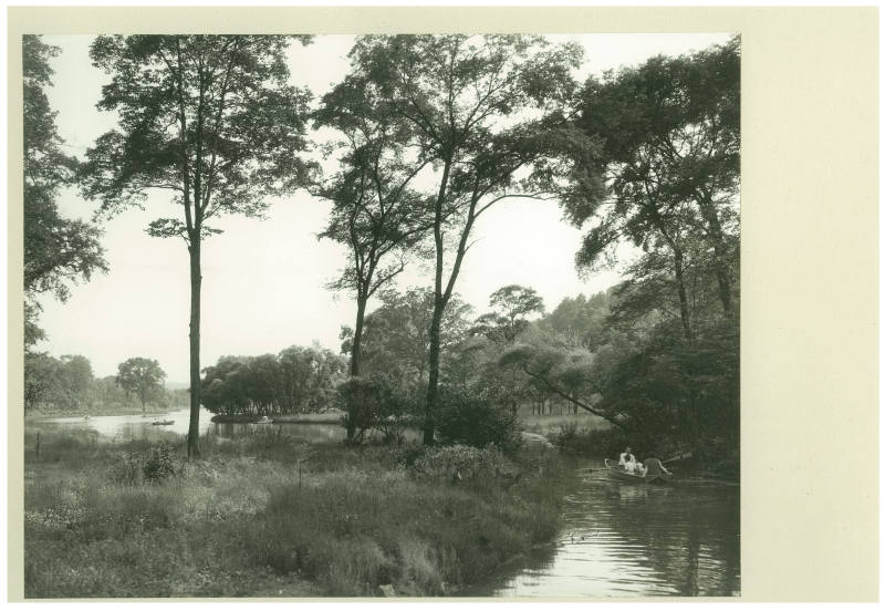 Woodlands Lake Saw Mill River Parkway