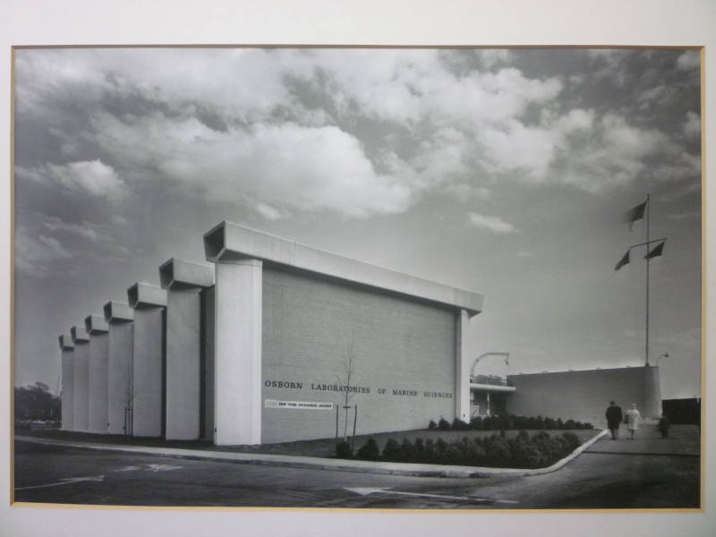 Osborn Laboratories of Marine Sciences, Brooklyn, NY