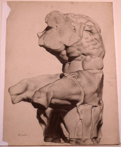 Cast of Belvedere Torso