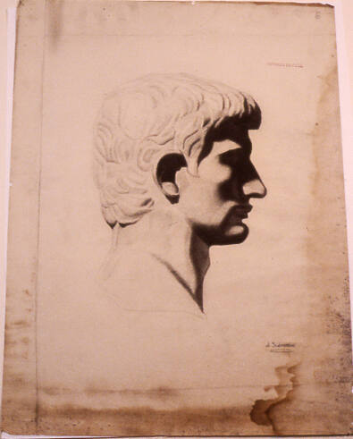 Drawing of sculptured male head--profile