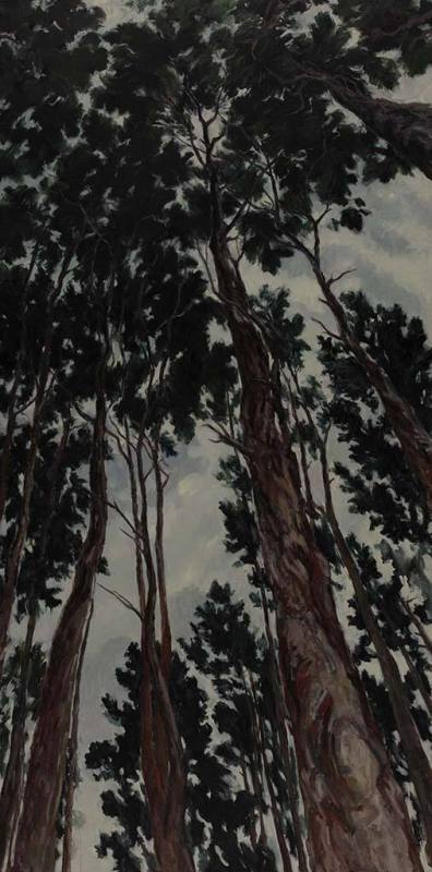 Tall Pines, Gray Sky