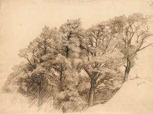 Landscape with Trees