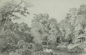 Woodland Scene with Brook