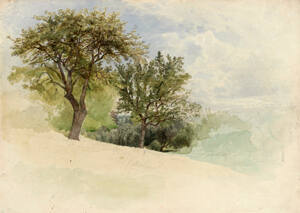 Landscape with Trees on a Hillside