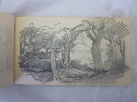 Sketchbook : Sketch of Trees