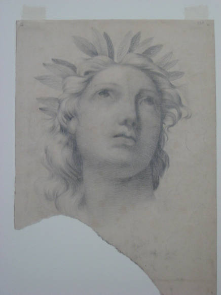 Untitled - Head of a woman crowned with a laurel wreath