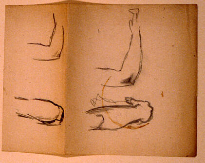 Sketch of arms and elbows