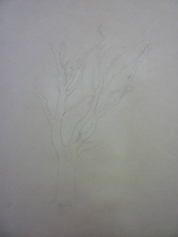 Sketch of a Tree