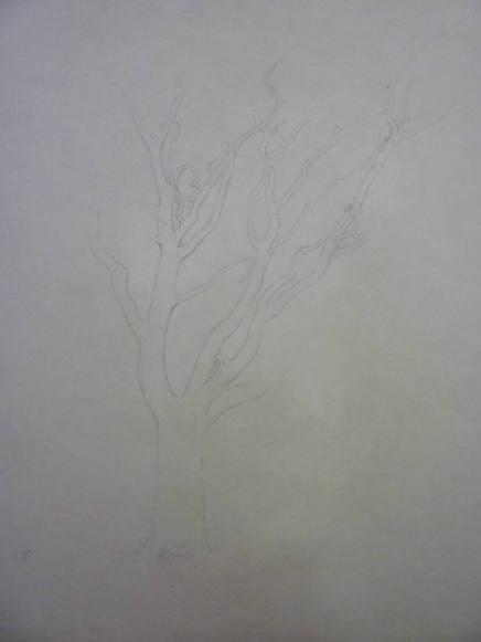 Sketch of a Tree