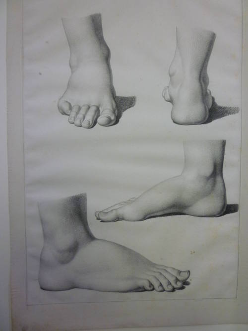 Studies of the right foot