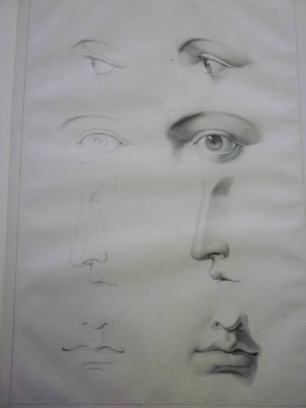 Studies of eyes, nose and mouth