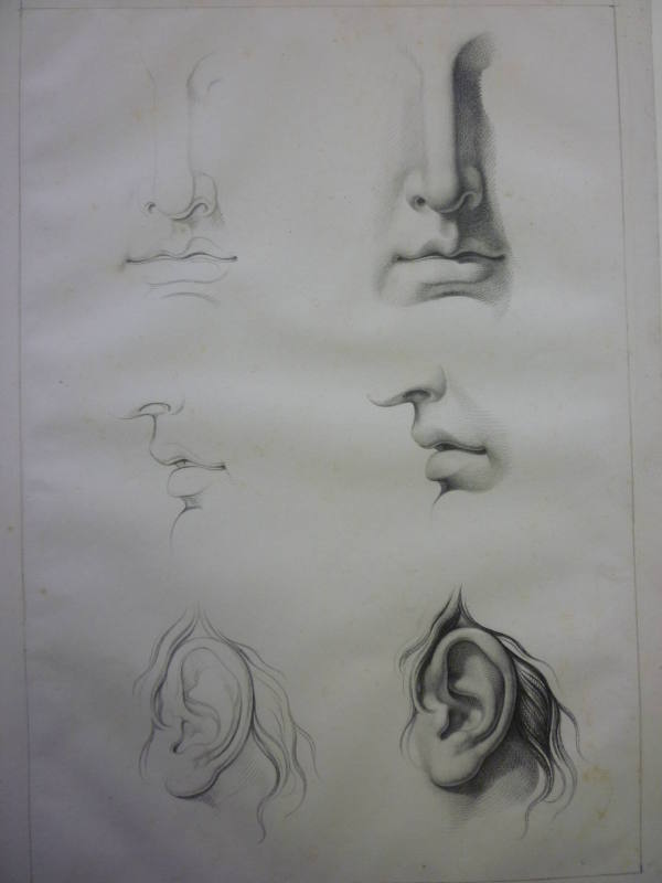 Studies of the mouth and left ear