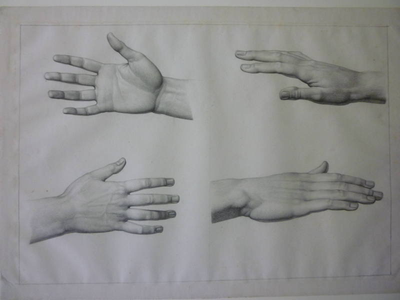 Studies of the right hand