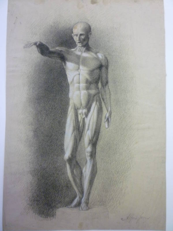 Sketch of Ecorché figure