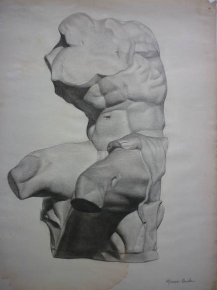 Drawing of Cast of Belvedere Torso