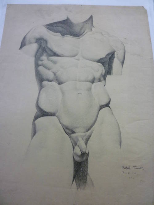 Drawing of Male Torso, Study of Musculature