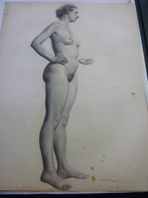 Drawing of standing female nude, side view