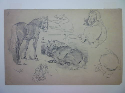 Studies of horses