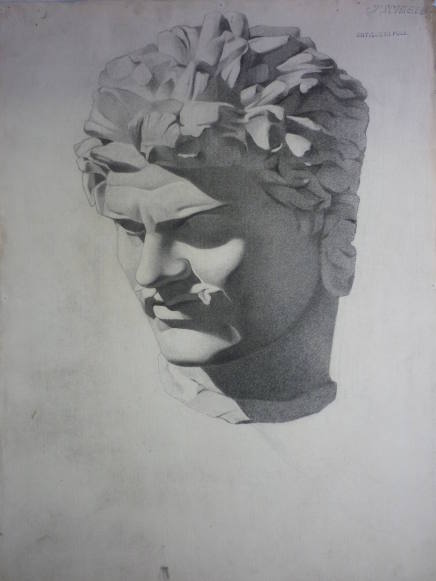 Drawing of cast of antique male head
