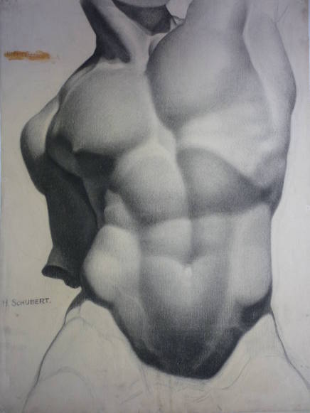 Drawing of sculptured torso