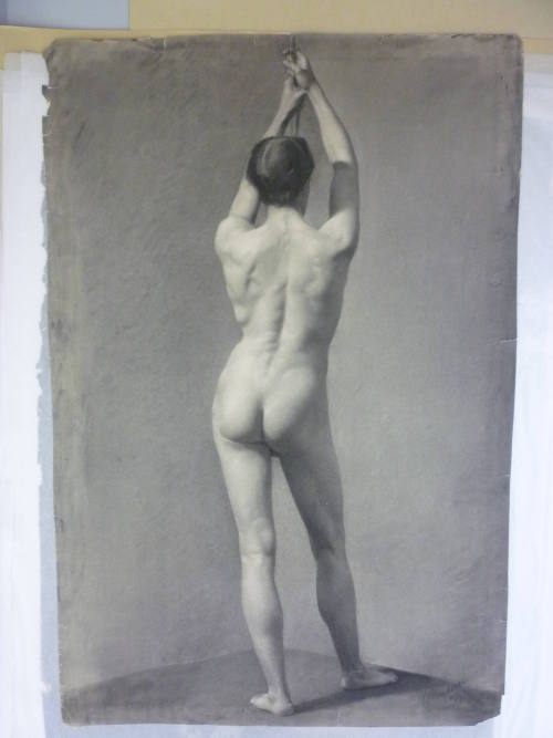 Male nude holding rope, posterior view