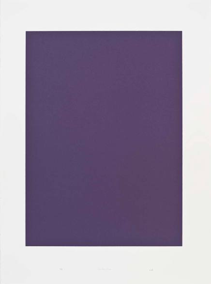 Untitled (solid purple)