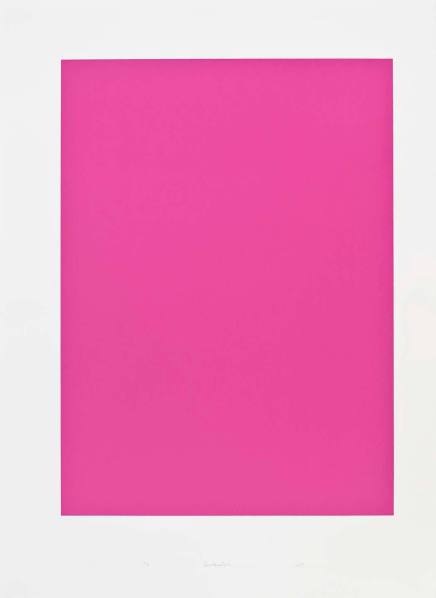 Untitled (solid deep pink)