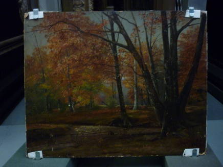 Brook in Autumn Landscape