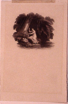 (Woman sitting at river's edge with leaning old oak tree)