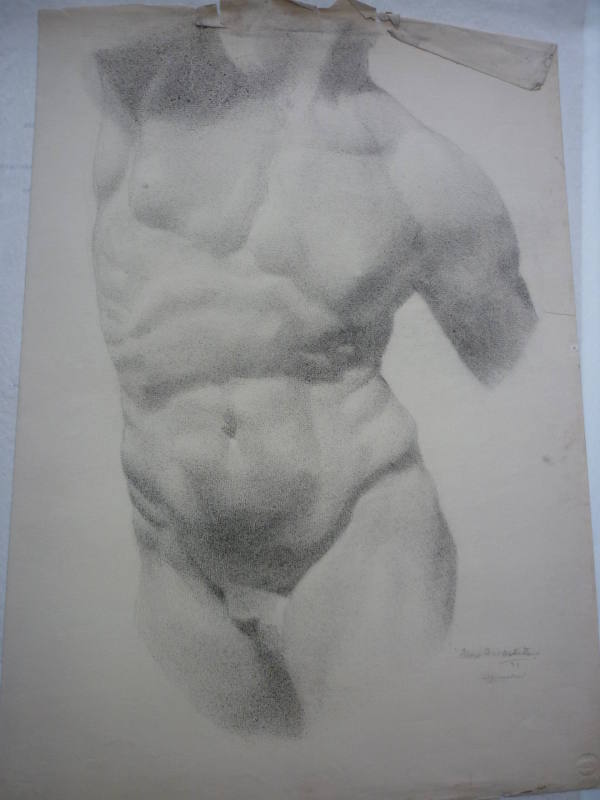 Drawing of male torso