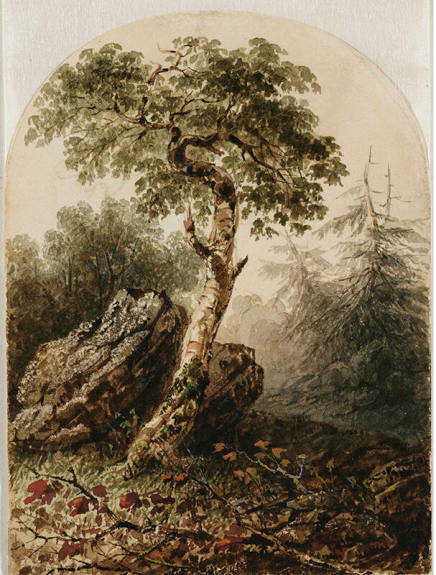 Landscape with Birch Tree