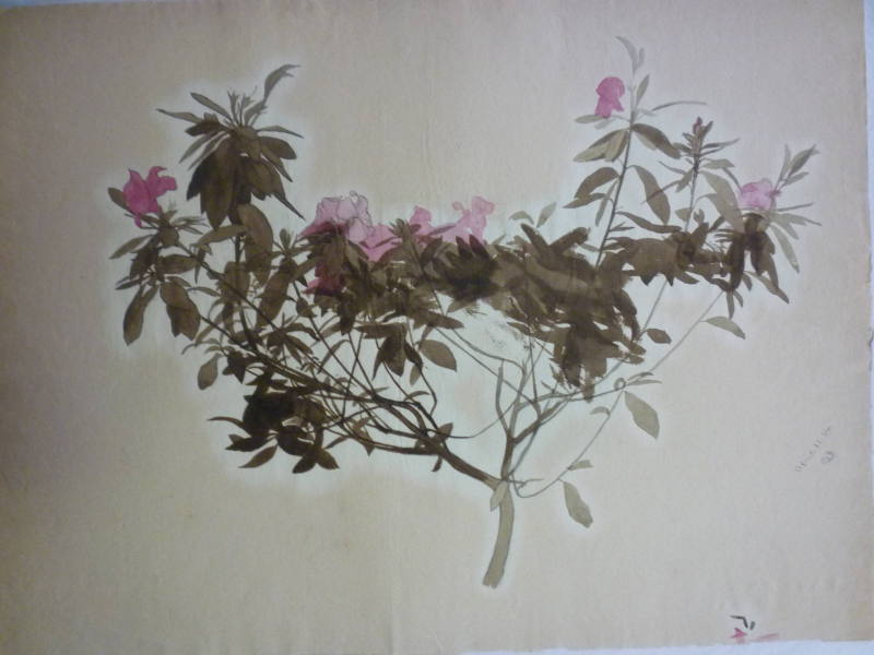 Branch with Flowers