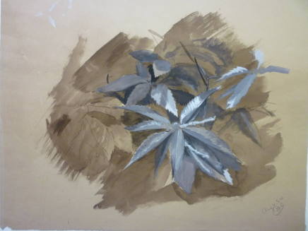 Sketch of Leaves